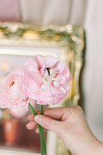 Load image into Gallery viewer, Charity - Neutral